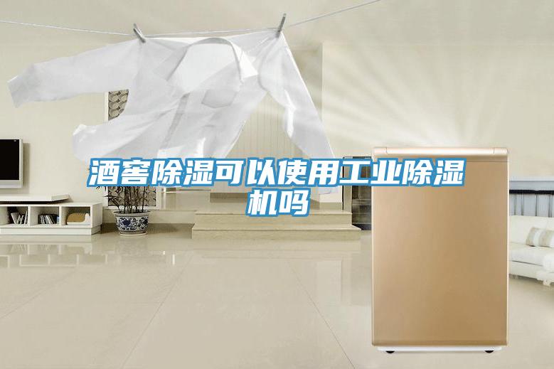 酒窖除湿可以使用工业粉色应用黄色软件吗
