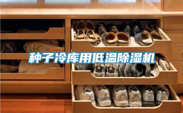 种子冷库用低温粉色应用黄色软件