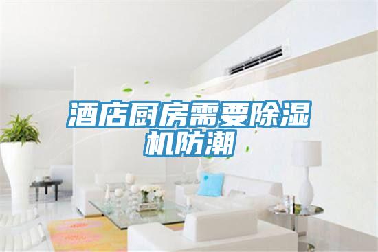 酒店厨房需要粉色应用黄色软件防潮