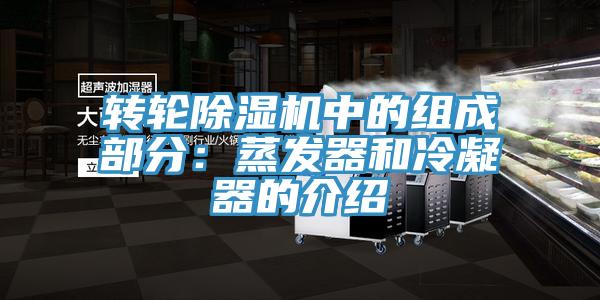 转轮粉色应用黄色软件中的组成部分：蒸发器和冷凝器的介绍