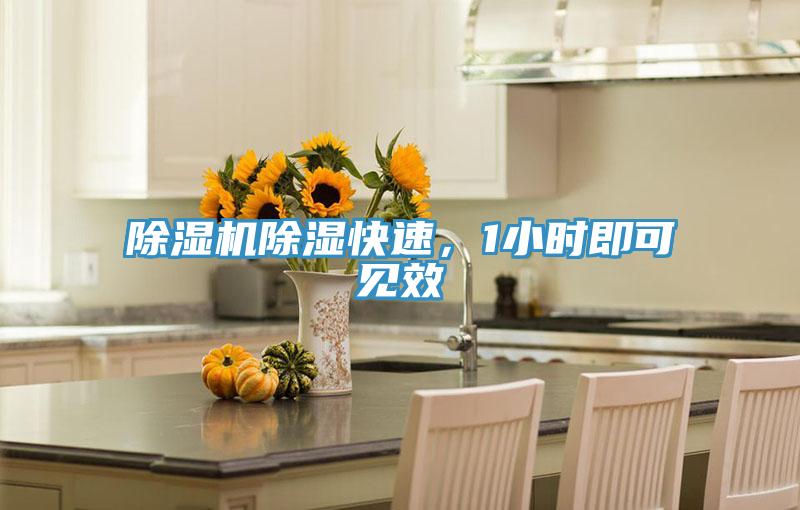 粉色应用黄色软件除湿快速，1小时即可见效