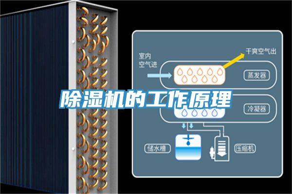 粉色应用黄色软件的工作原理