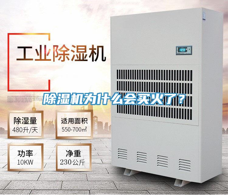 粉色应用黄色软件为什么会买火了？