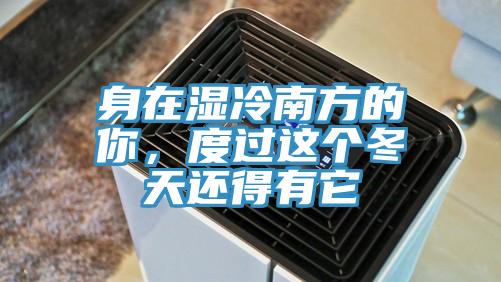 身在湿冷南方的你，度过这个冬天还得有它