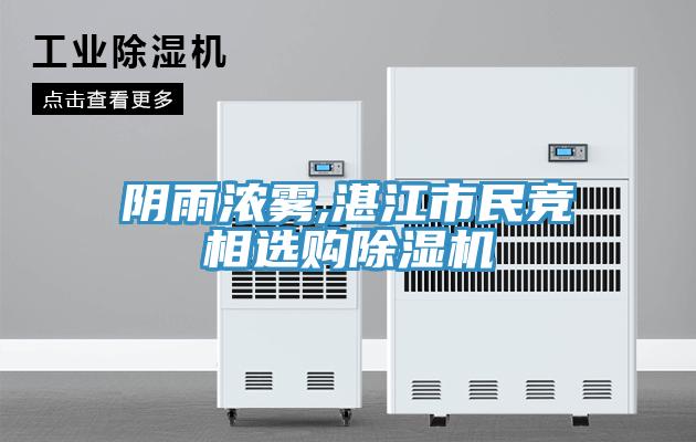 阴雨浓雾,湛江市民竞相选购粉色应用黄色软件