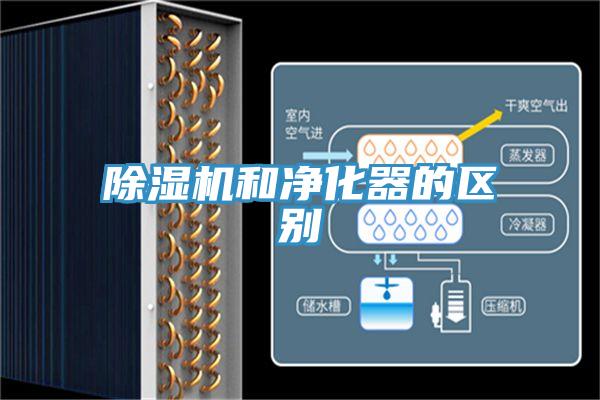 粉色应用黄色软件和净化器的区别