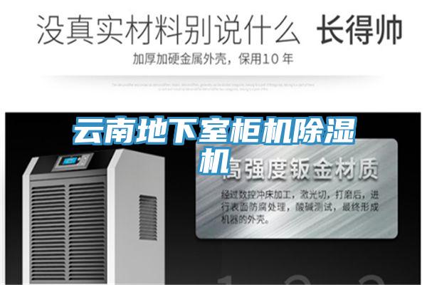 云南地下室柜机粉色应用黄色软件