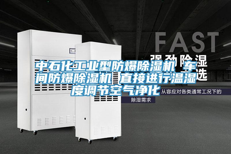 中石化工业型防爆粉色应用黄色软件 车间防爆粉色应用黄色软件 直接进行温湿度调节空气净化