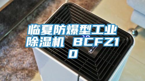 临夏防爆型工业粉色应用黄色软件 BCFZ10