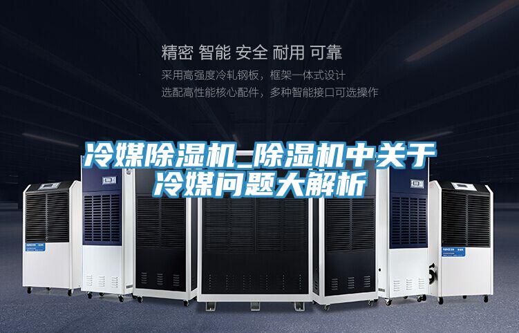 冷媒粉色应用黄色软件_粉色应用黄色软件中关于冷媒问题大解析