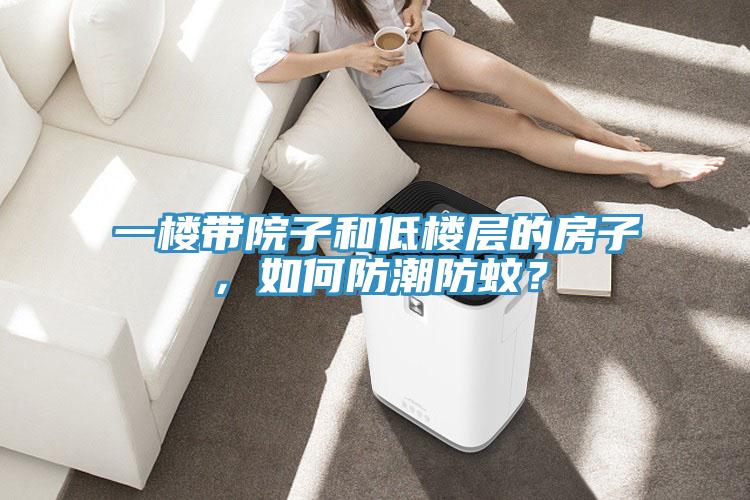 一楼带院子和低楼层的房子，如何防潮防蚊？