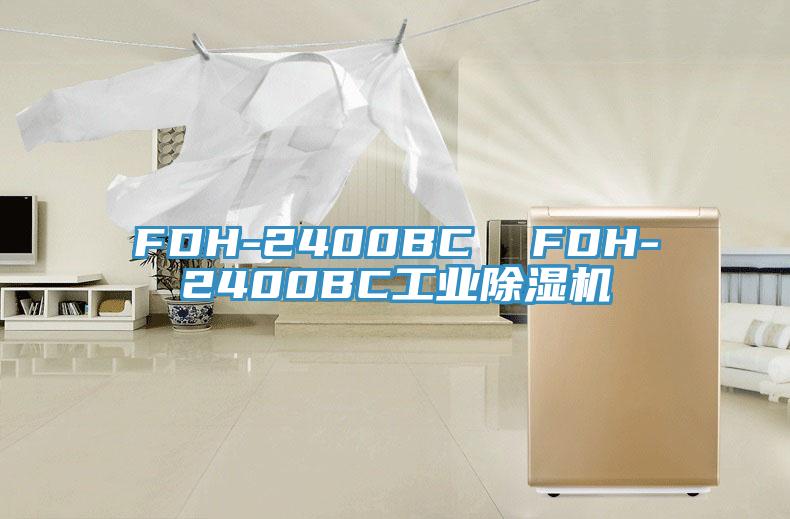 FDH-2400BC  FDH-2400BC工业粉色应用黄色软件