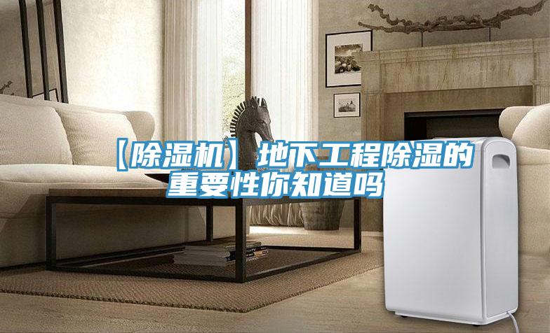 【粉色应用黄色软件】地下工程除湿的重要性你知道吗