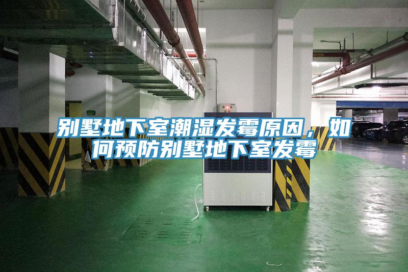 别墅地下室潮湿发霉原因，如何预防别墅地下室发霉
