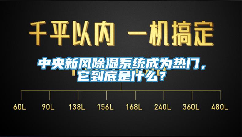 中央新风除湿系统成为热门，它到底是什么？
