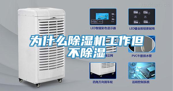 为什么粉色应用黄色软件工作但不除湿