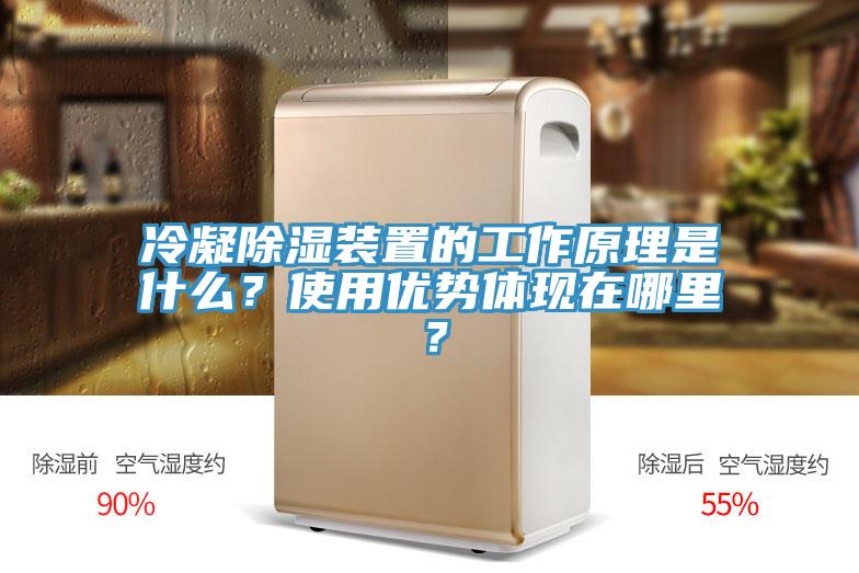 冷凝除湿装置的工作原理是什么？使用优势体现在哪里？