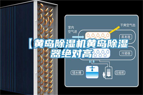 【黄岛粉色应用黄色软件黄岛除湿器绝对高