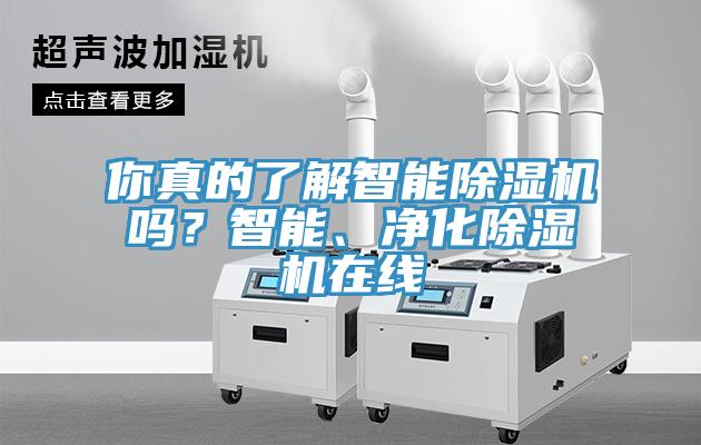 你真的了解智能粉色应用黄色软件吗？智能、净化粉色应用黄色软件在线