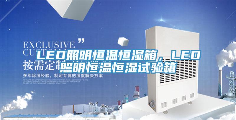 LED照明恒温恒湿箱，LED照明恒温恒湿试验箱