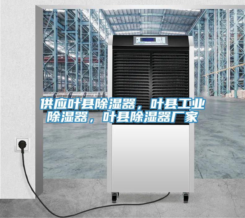 供应叶县除湿器，叶县工业除湿器，叶县除湿器厂家