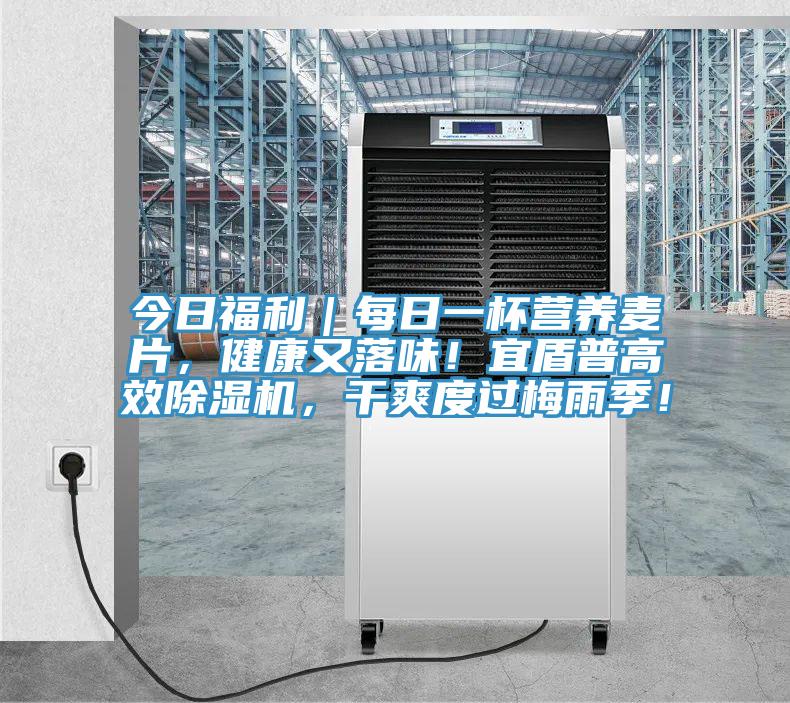 今日福利｜每日一杯营养麦片，健康又落味！宜盾普高效粉色应用黄色软件，干爽度过梅雨季！