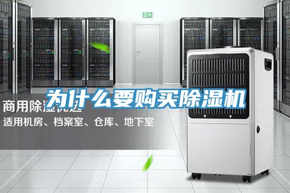 为什么要购买粉色应用黄色软件