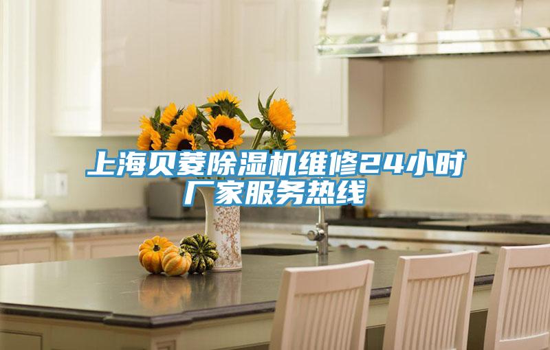 上海贝菱粉色应用黄色软件维修24小时厂家服务热线