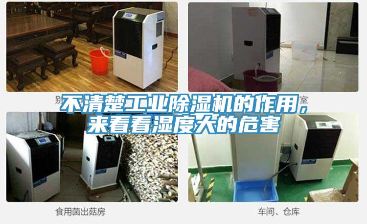 不清楚工业粉色应用黄色软件的作用，来看看湿度大的危害