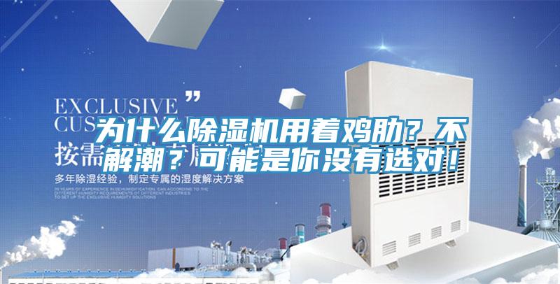 为什么粉色应用黄色软件用着鸡肋？不解潮？可能是你没有选对！