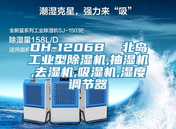 DH-1206B  北岛工业型粉色应用黄色软件,抽湿机,去湿机,吸湿机,湿度调节器