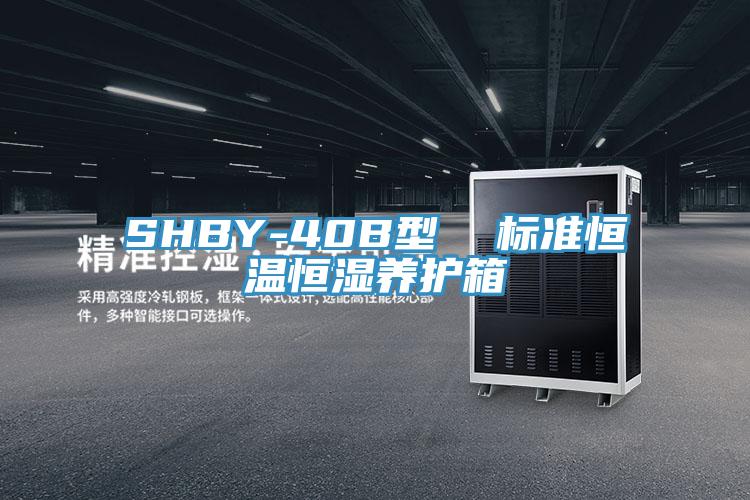 SHBY-40B型 标准恒温恒湿养护箱
