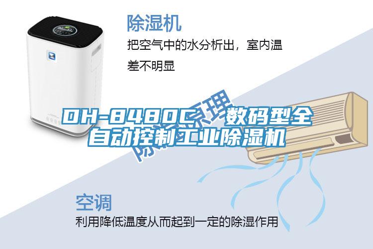 DH-8480C  数码型全自动控制工业粉色应用黄色软件
