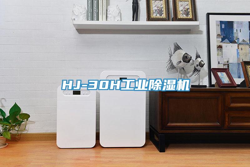 HJ-30H工业粉色应用黄色软件