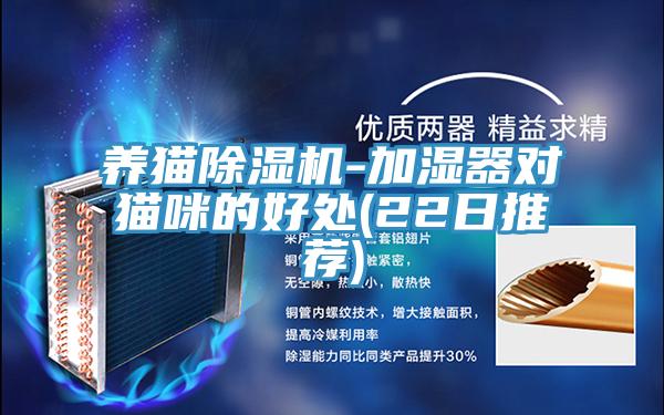 养猫粉色应用黄色软件-加湿器对猫咪的好处(22日推荐)