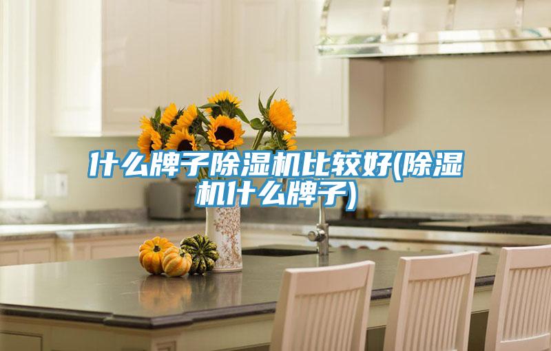 什么牌子粉色应用黄色软件比较好(粉色应用黄色软件什么牌子)