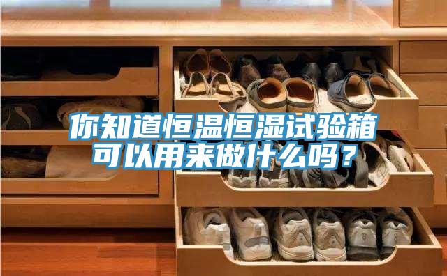 你知道恒温恒湿试验箱可以用来做什么吗？