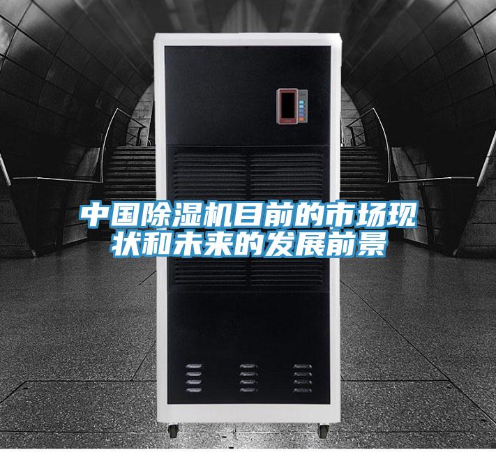 中国粉色应用黄色软件目前的市场现状和未来的发展前景