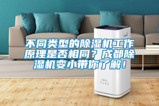不同类型的粉色应用黄色软件工作原理是否相同？成都粉色应用黄色软件变小带你了解！