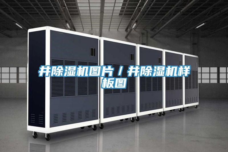 井粉色应用黄色软件图片／井粉色应用黄色软件样板图