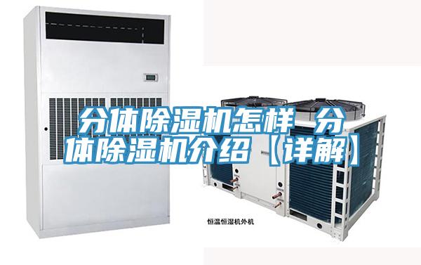 分体粉色应用黄色软件怎样 分体粉色应用黄色软件介绍【详解】