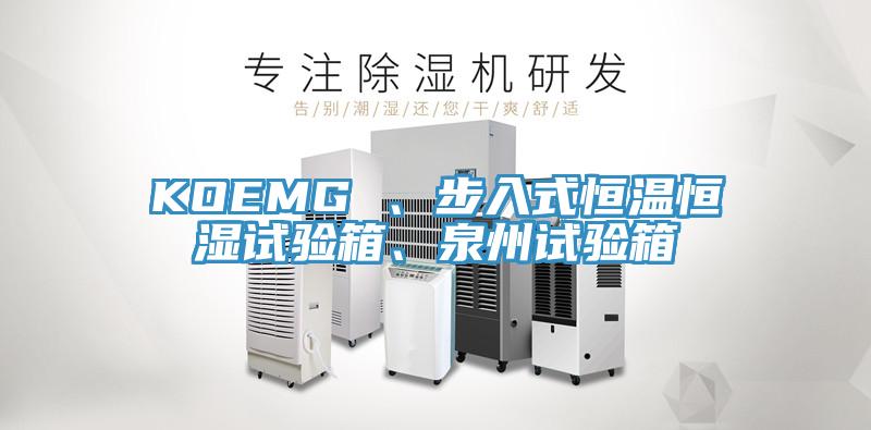 KOEMG 、步入式恒温恒湿试验箱、泉州试验箱