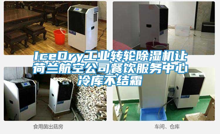 IceDry工业转轮粉色应用黄色软件让荷兰航空公司餐饮服务中心冷库不结霜