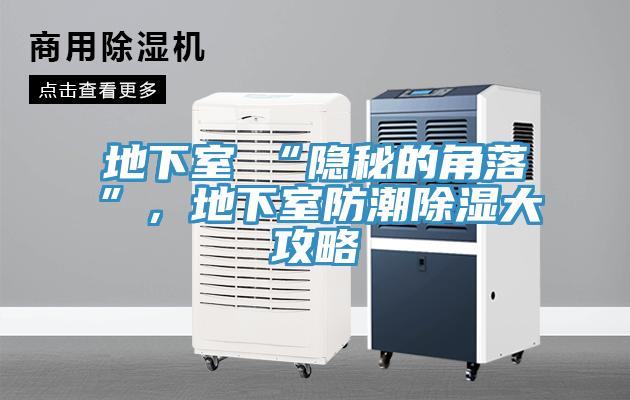 地下室≠“隐秘的角落”，地下室防潮除湿大攻略