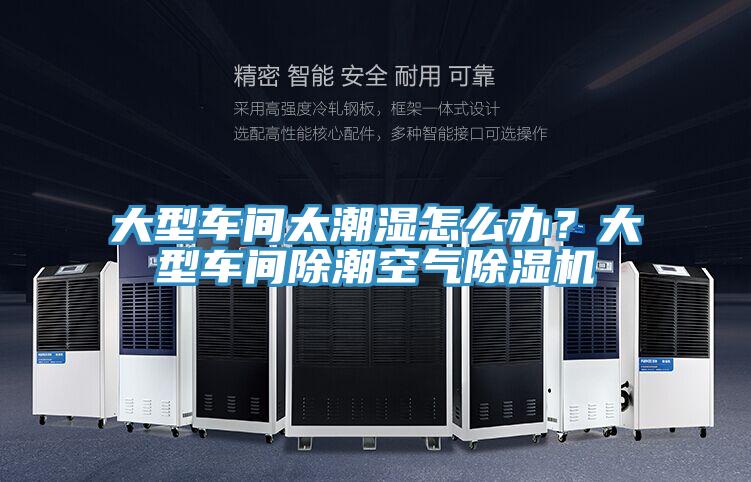 大型车间太潮湿怎么办？大型车间除潮空气粉色应用黄色软件