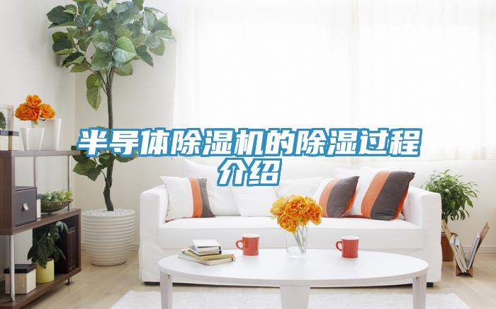 半导体粉色应用黄色软件的除湿过程介绍