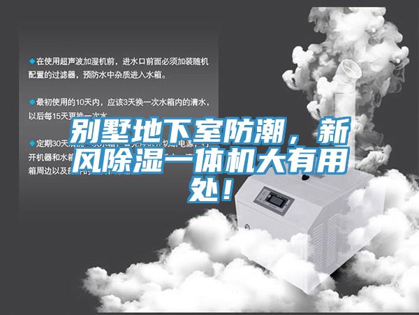 别墅地下室防潮，新风除湿一体机大有用处！