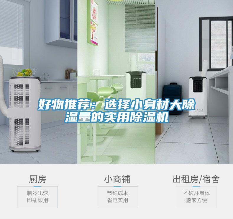 好物推荐：选择小身材大除湿量的实用粉色应用黄色软件