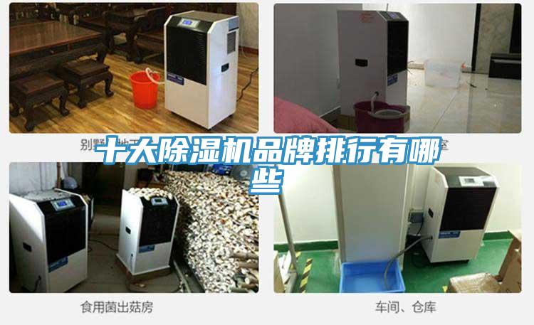 十大粉色应用黄色软件品牌排行有哪些