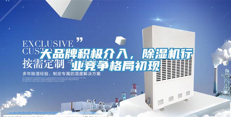 大品牌积极介入，粉色应用黄色软件行业竞争格局初现